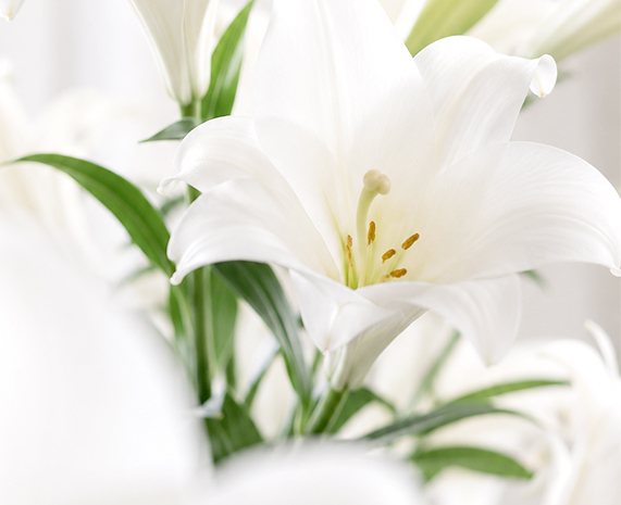LANTE OBGYN labiaplasty clinic in Gangnam, Seoul