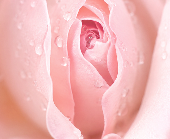 LANTE OBGYN labiaplasty clinic in Gangnam, Seoul